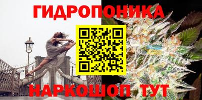mdpv Донской