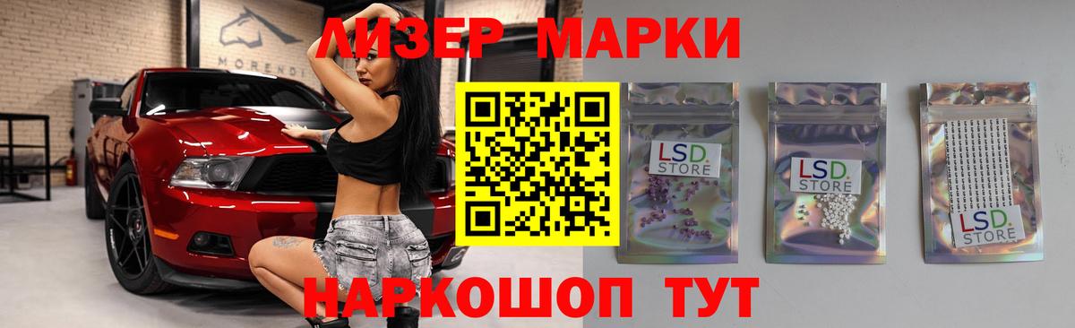 МЕФ Майкоп