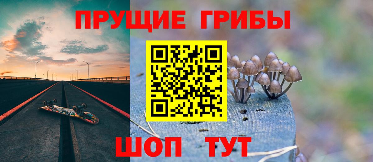 Псилоцибиновые грибы MAGIC MUSHROOMS  Вход с VPN  Майкоп  Псилоцибиновые грибы Psilocybine cubensis 