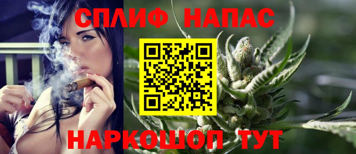 Конопля White Widow  МАРИХУАНА ГИДРОПОН  Бошки марихуана семена  Канабис план  Вход с VPN  Майкоп 